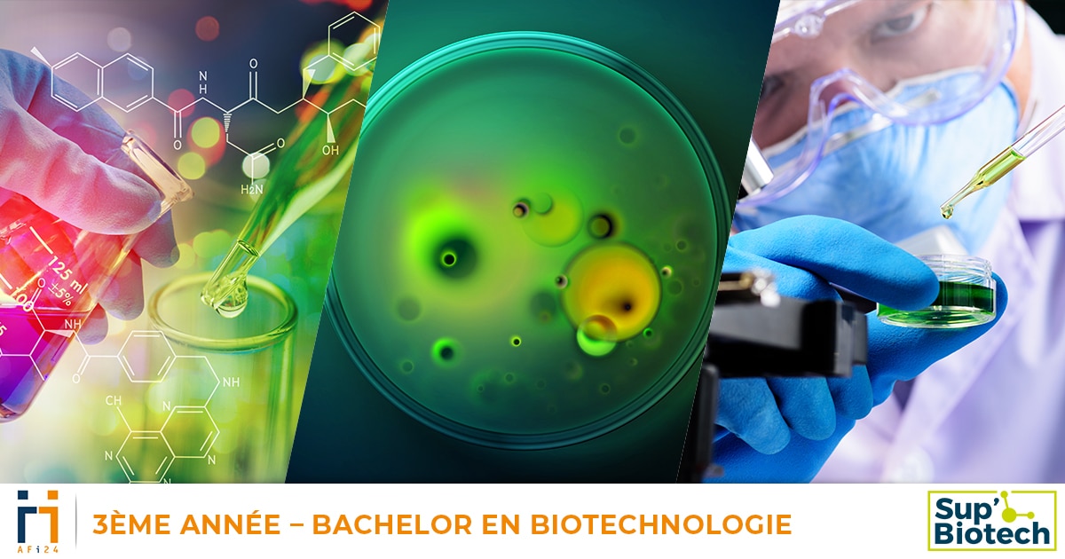 Diplôme Biotechnologie Bac+2 +3 BTS Alternance, Apprentissage