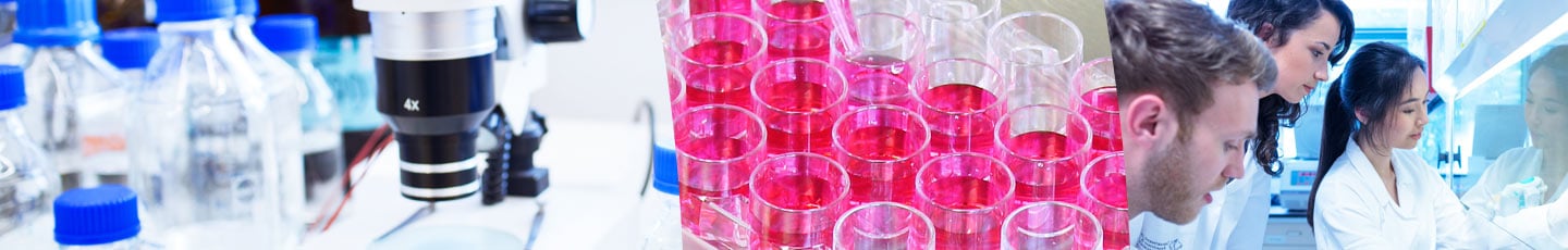 Licence Pro Chimie Analytique